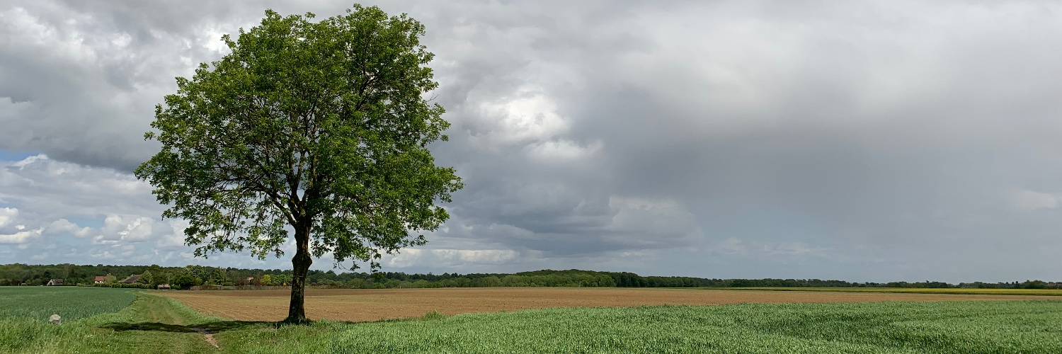 Richard Lavergne banner