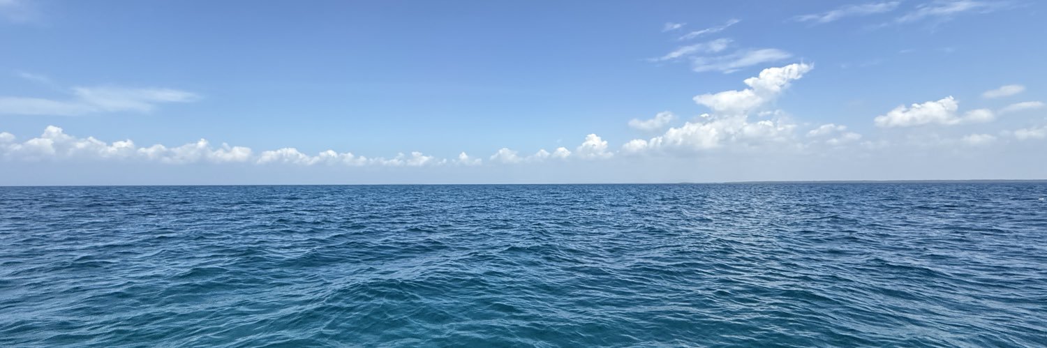 timiodueso's profile banner image