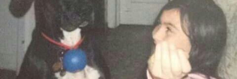 Jun57e_FLEE's profile banner image
