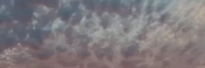 1781931192's profile banner image