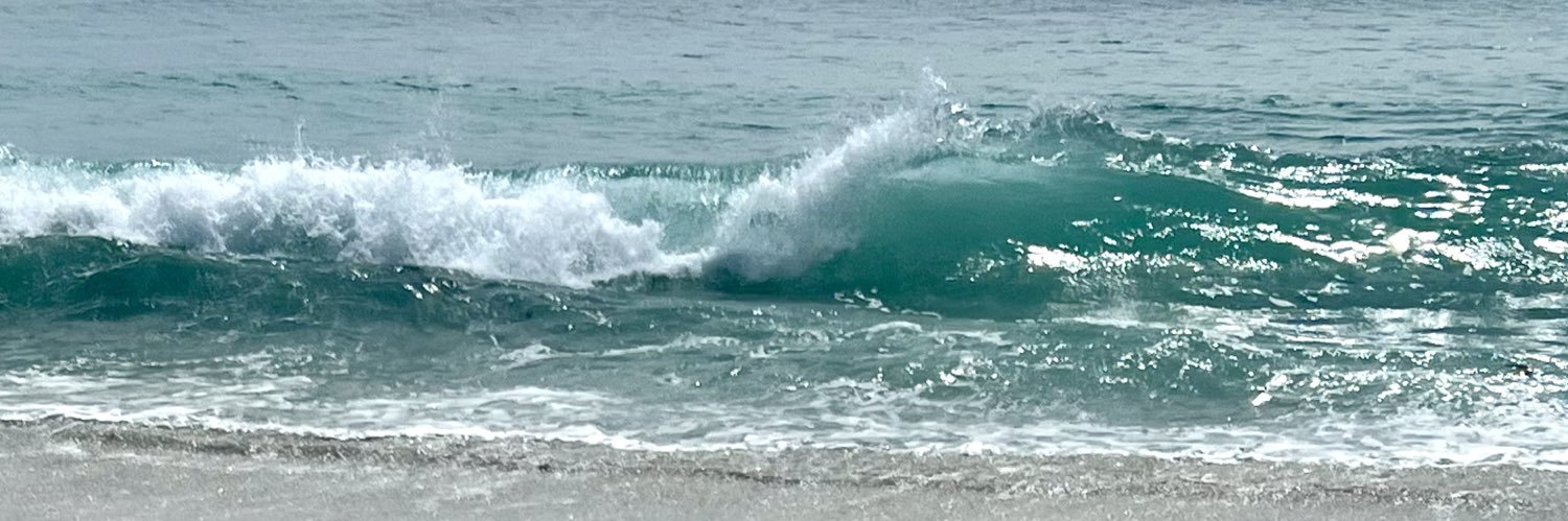 Pat Vesperman 🇺🇸🇺🇸 banner