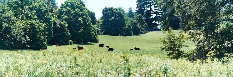 thtree_'s profile banner image