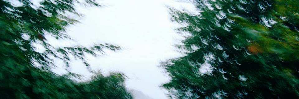 busratopaaal's profile banner image