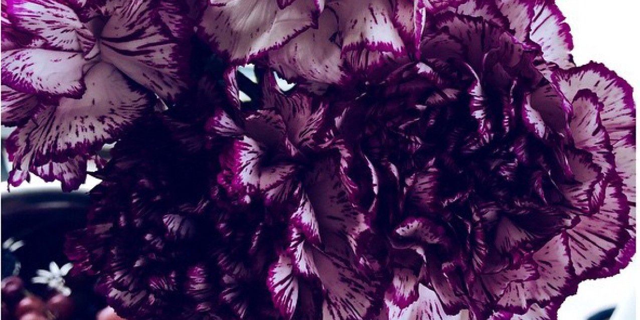 MizRaeRae's profile banner image