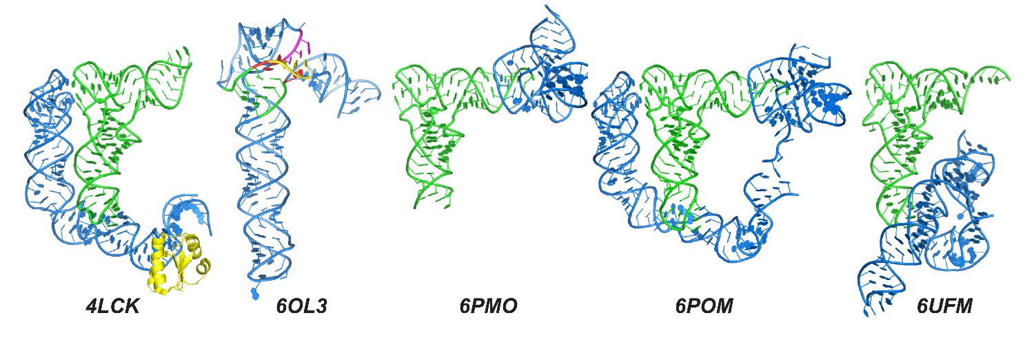 Jinwei Zhang Lab (jinweizhang) / Twitter