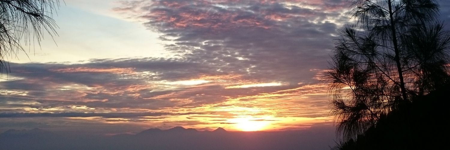 trianggaid's profile banner image