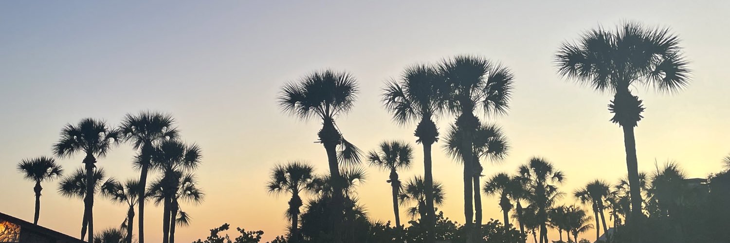 MissKartubi's profile banner image