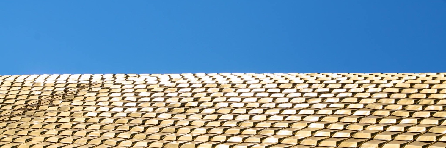 Dmytro Chaplynskyi banner