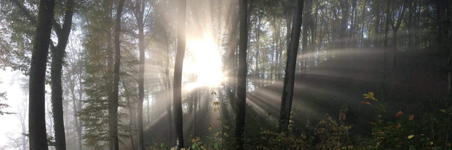 Llorenç Navarro banner