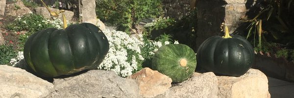 neetamac Profile Banner