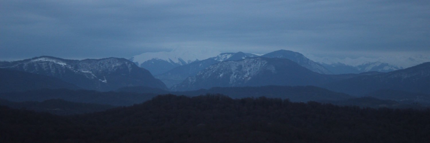 brovkinaaa's profile banner image