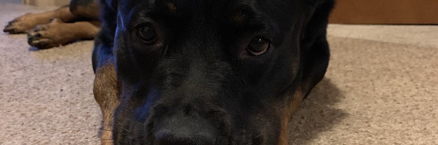 ZackCoulson's profile banner image