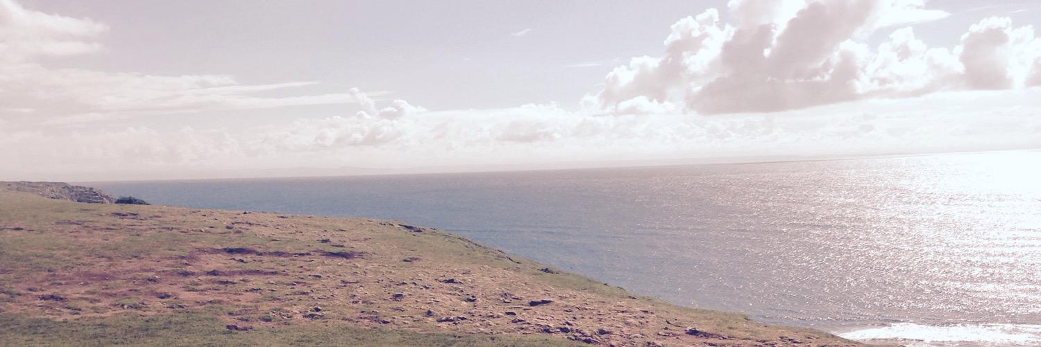 JoannOBrien1's profile banner image