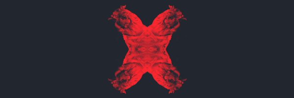 LGF_ROCKS Profile Banner