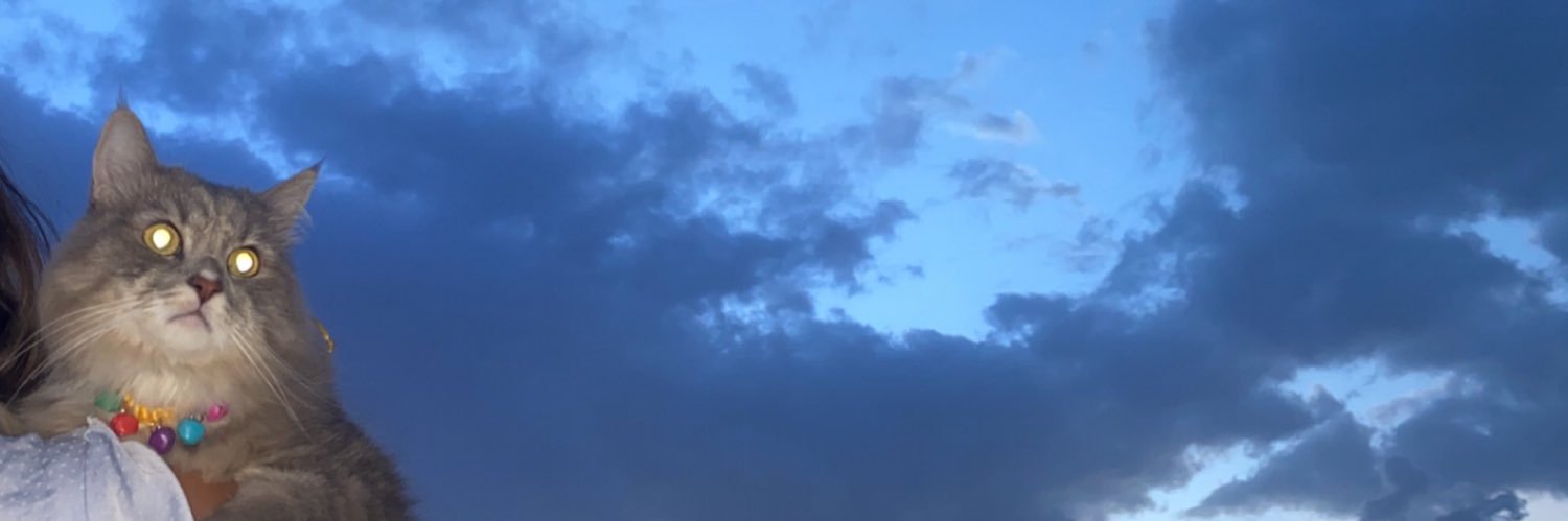 Dee9H's profile banner image