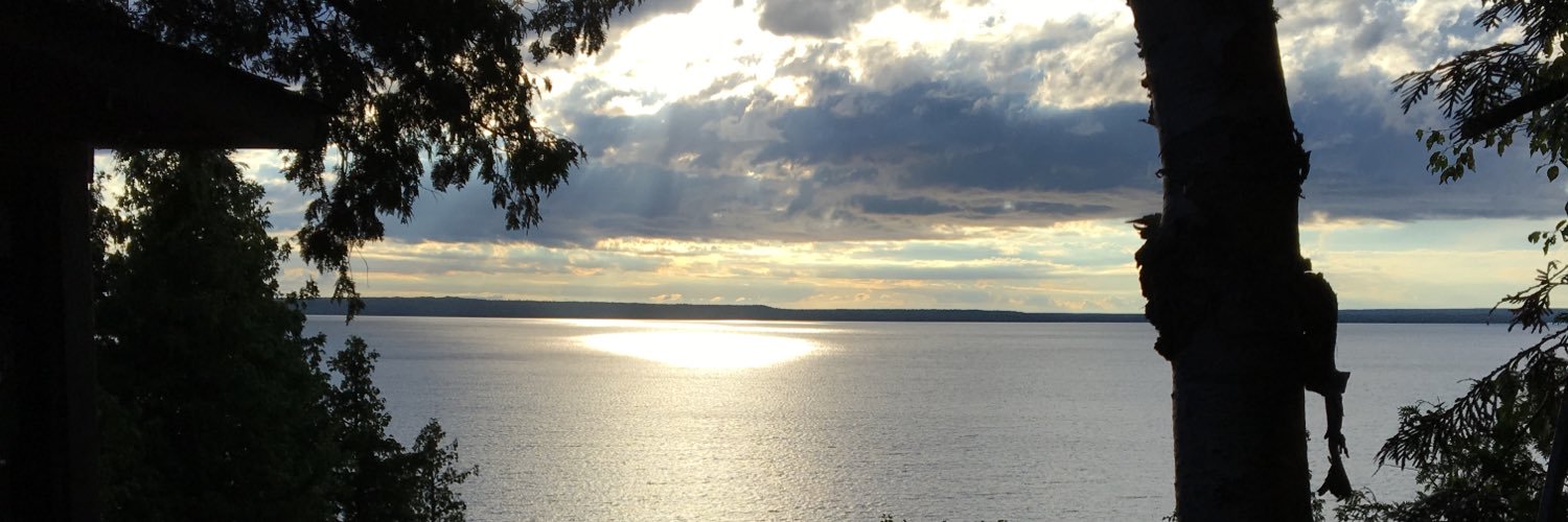 stephbarr1's profile banner image