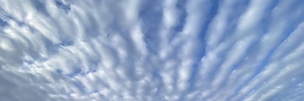 DelannayArnaud Profile Banner