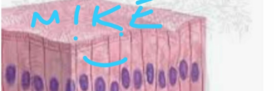 MichaelSpiller1's profile banner image
