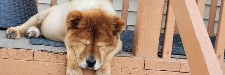 whodidthis24's profile banner image