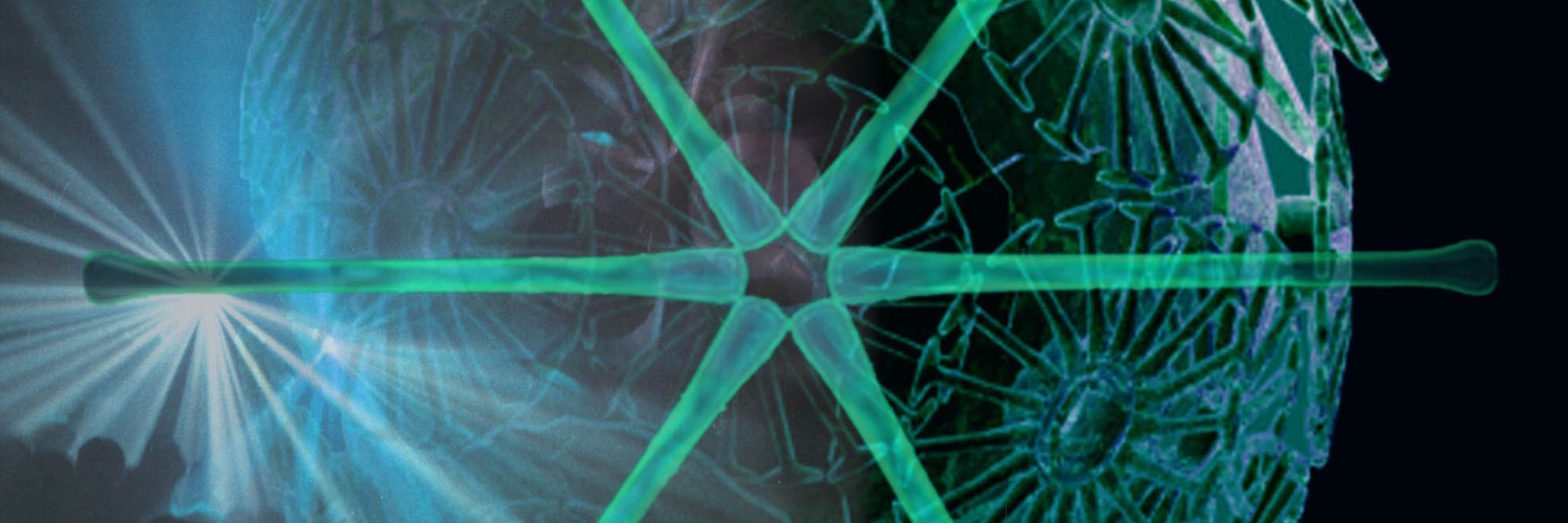 Iona Scott banner