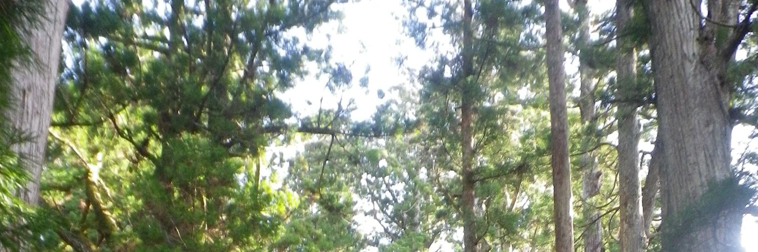 mia_arcos's profile banner image