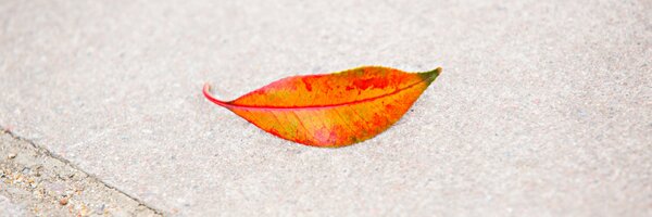 mattustu Profile Banner