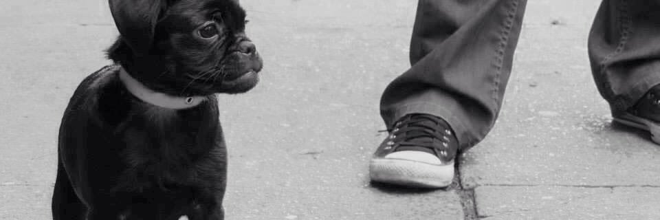 adrianoariel's profile banner image