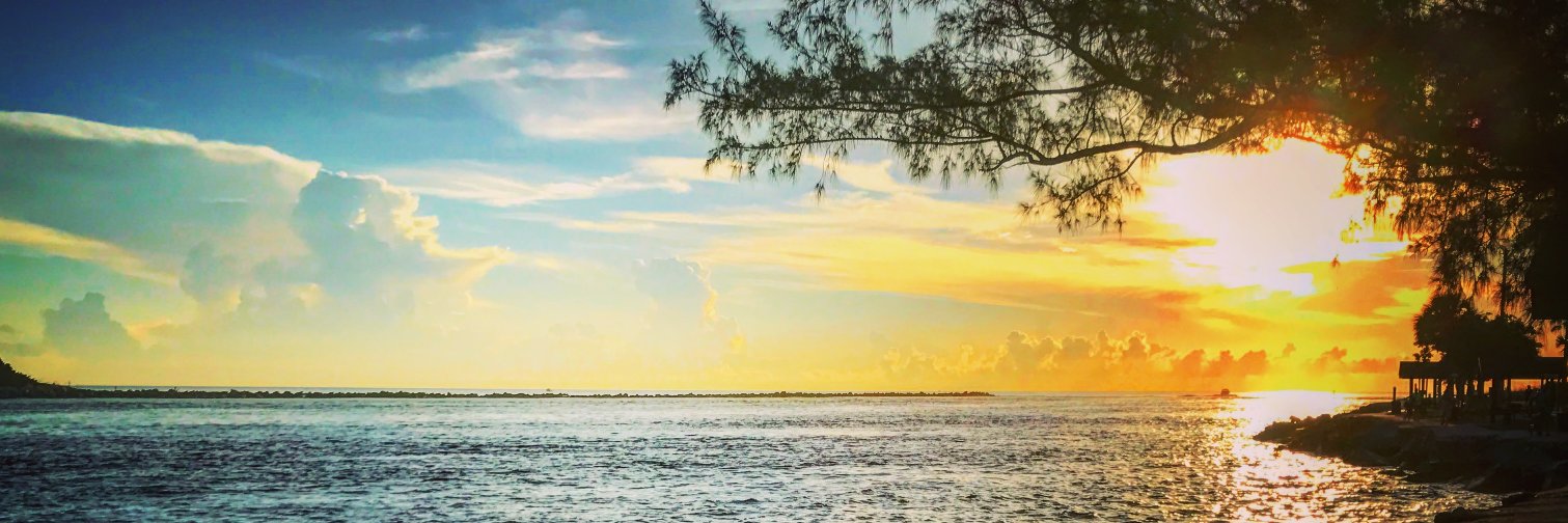 GatorLabDad's profile banner image