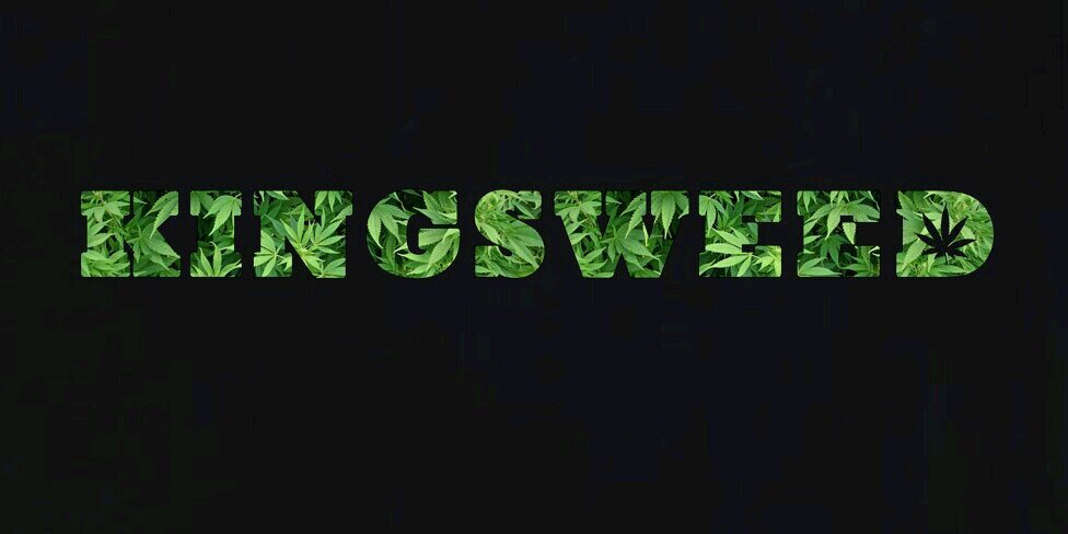 _kingsweed_'s profile banner image