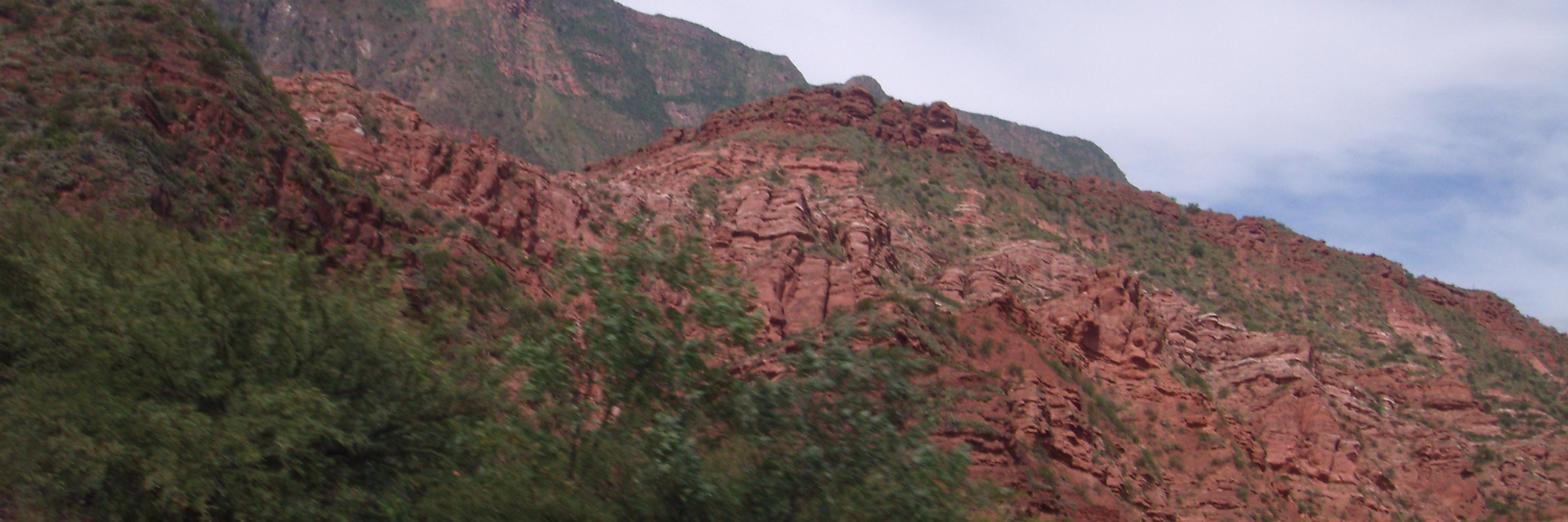 marcelo scavuzzo banner