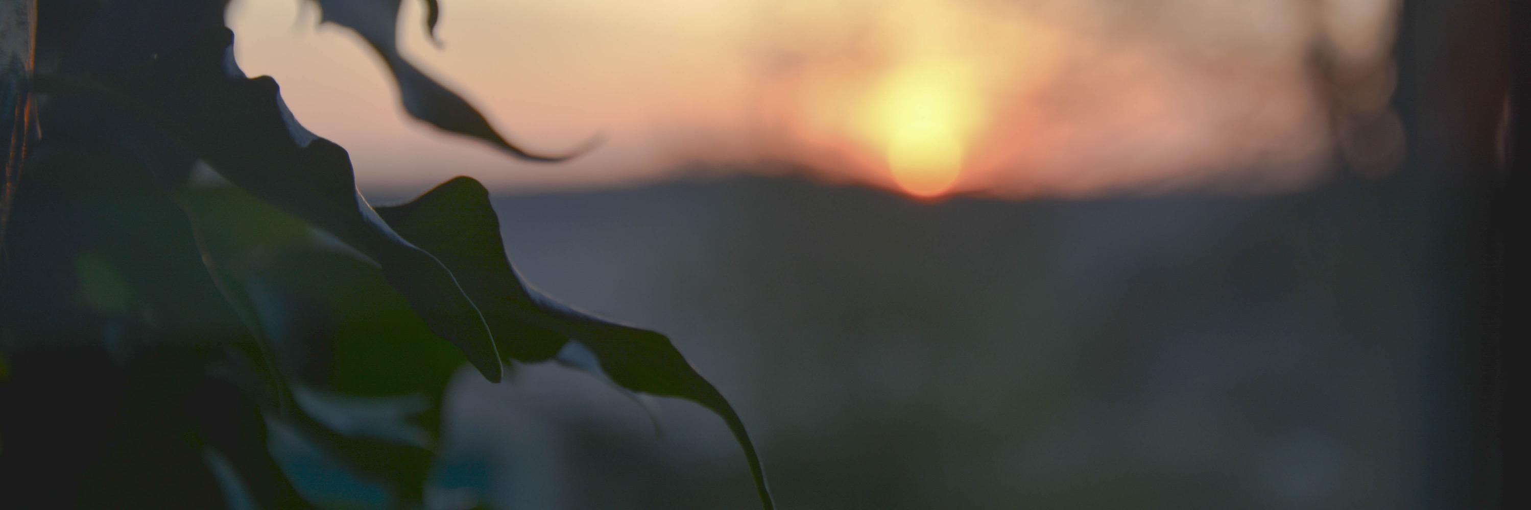 Swouate's profile banner image