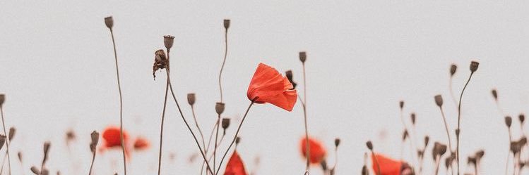 zaiinxb's profile banner image