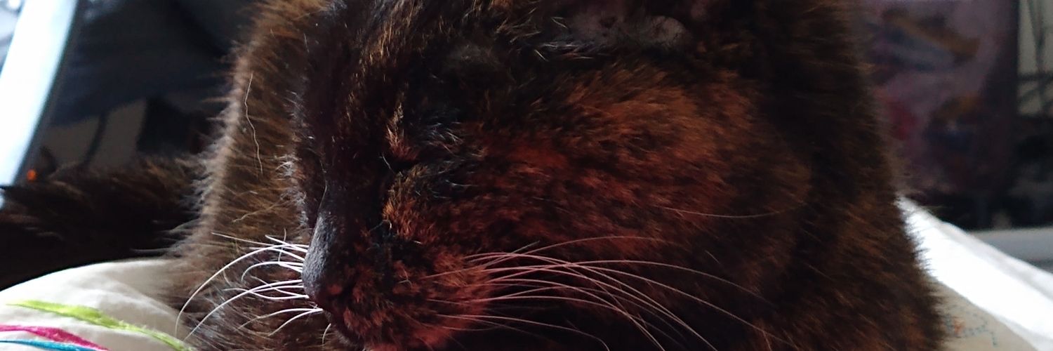 Hechtkopp's profile banner image