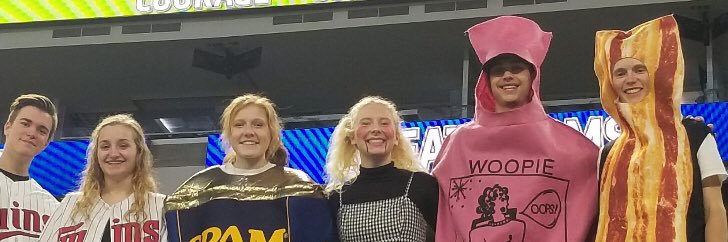 AHS Athletics banner