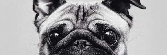 leollagas's profile banner image