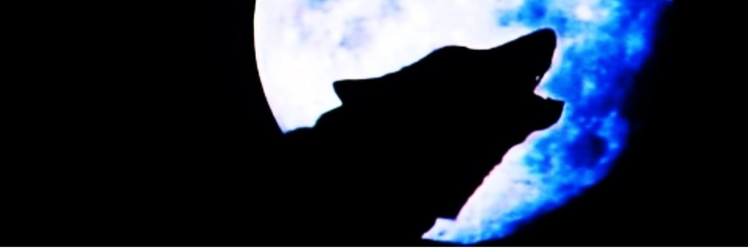 Qravin's profile banner image