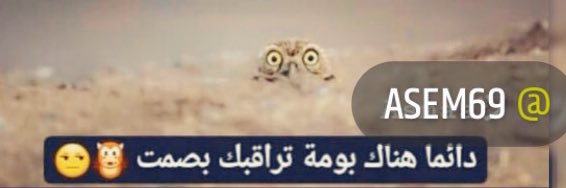 o_asem's profile banner image