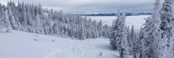 AlexWoodwardd Profile Banner