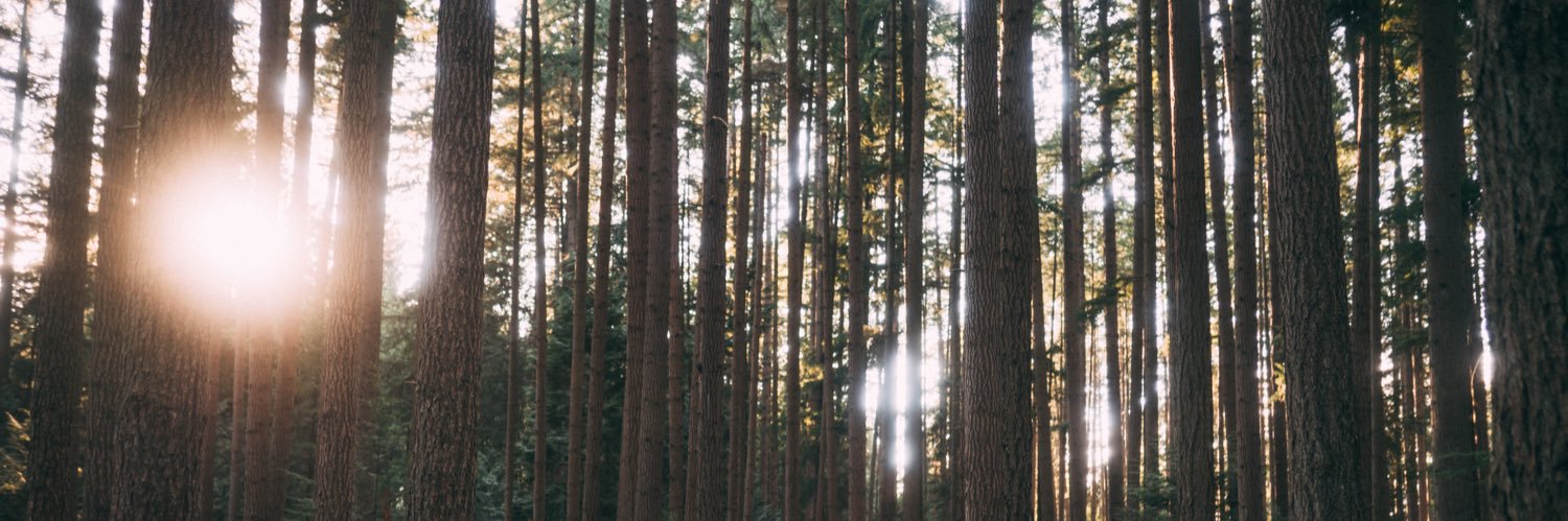 hfiddy's profile banner image