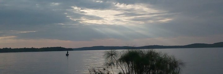 jabin_Ke's profile banner image