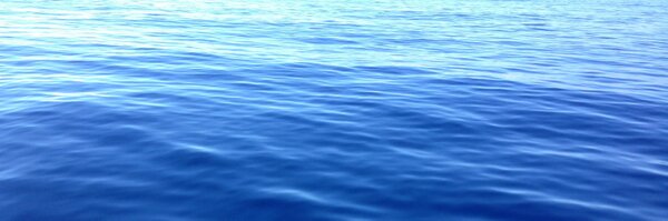 prochlorococcus Profile Banner