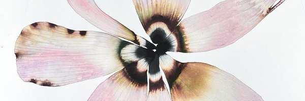 24hrsanha Profile Banner