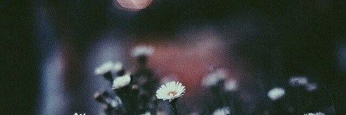 Smiling_Jennie's profile banner image