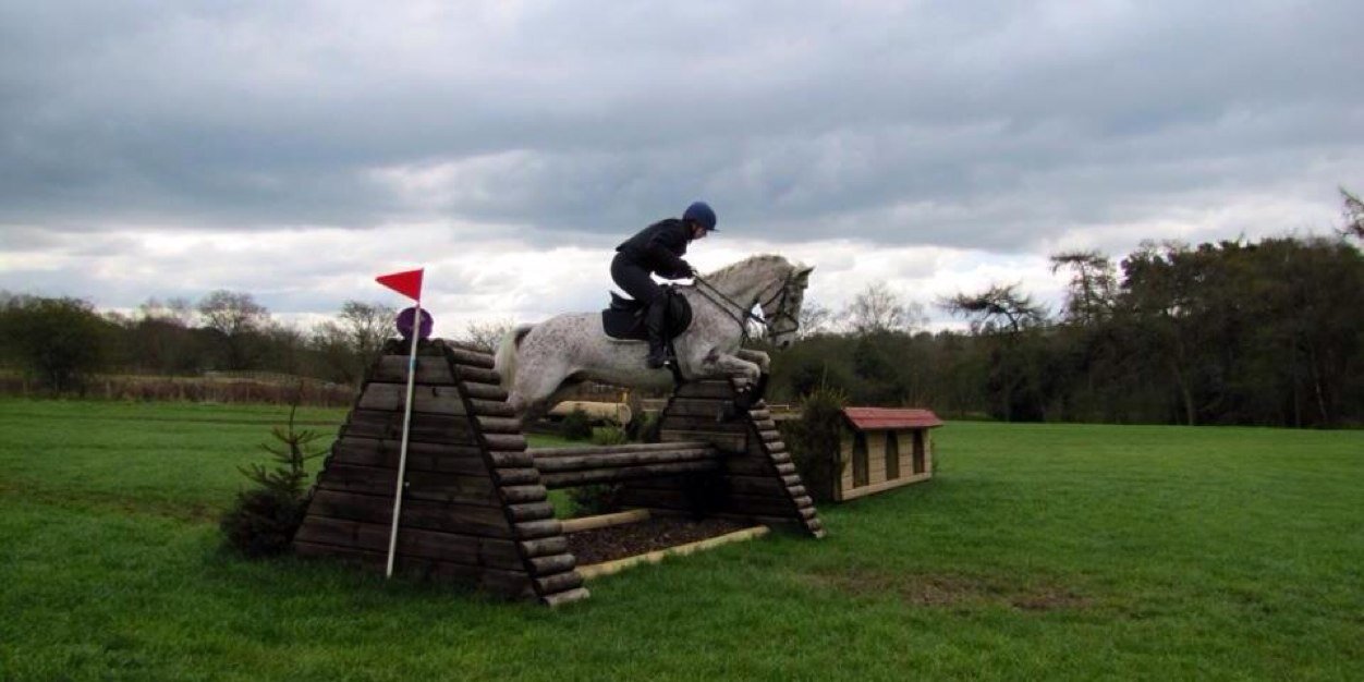 Hayley Dawn Whiteley banner