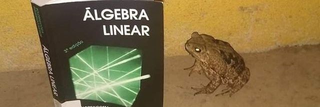 GabrielFonsouza's profile banner image