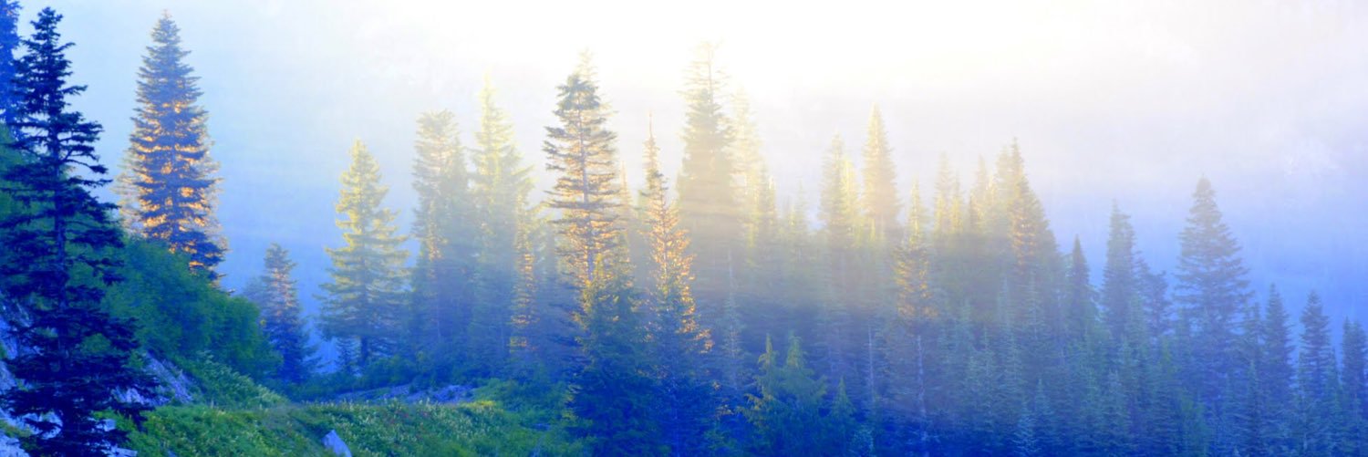jdpg87's profile banner image