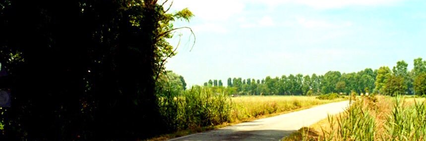 tagrisso's profile banner image