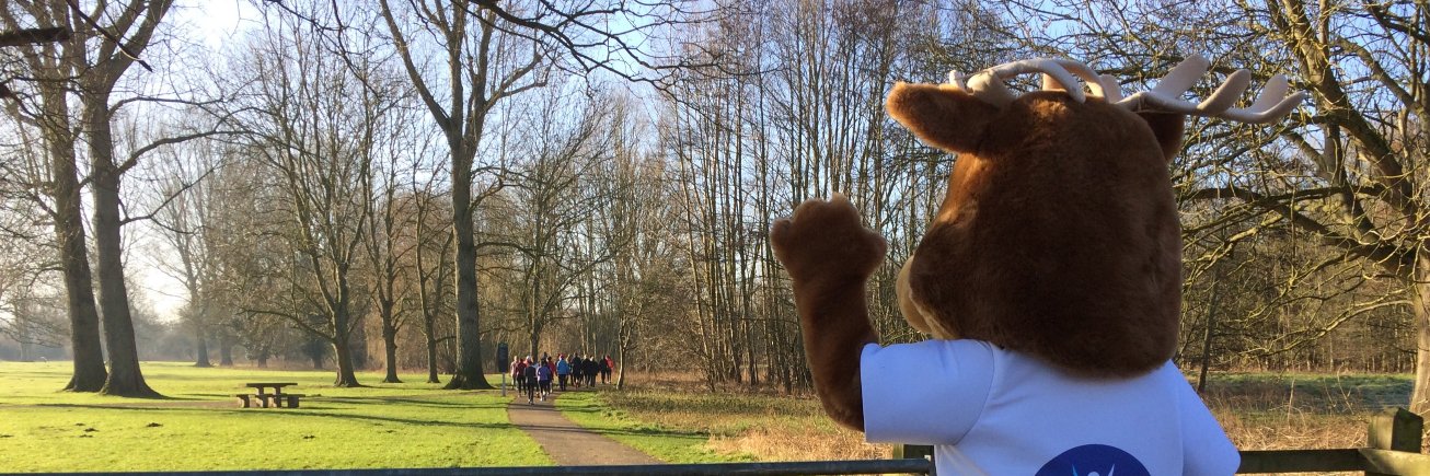 Active Broxbourne banner