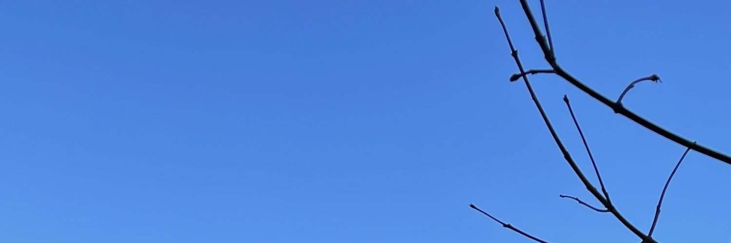 Georgina Anson banner