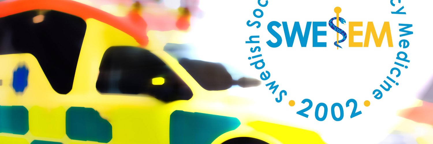 SWESEM1's profile banner image
